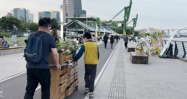国际花卉节8座居民花园“漂流”回社区，堆物楼道变身公共客厅
