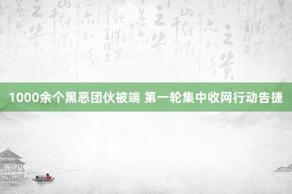 1000余个黑恶团伙被端 第一轮集中收网行动告捷