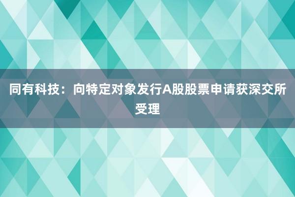 同有科技：向特定对象发行A股股票申请获深交所受理