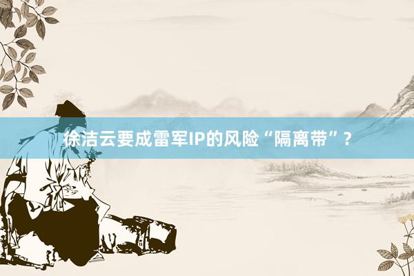 徐洁云要成雷军IP的风险“隔离带”？