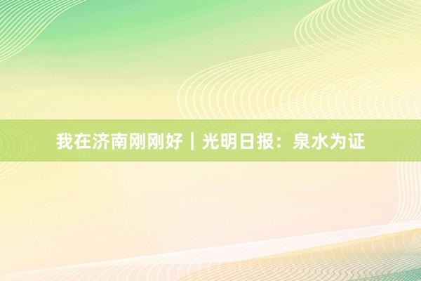 我在济南刚刚好|光明日报:泉水为证