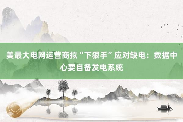 美最大电网运营商拟“下狠手”应对缺电：数据中心要自备发电系统