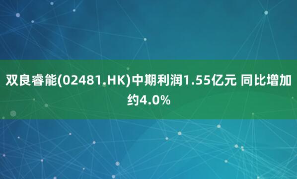 双良睿能(02481.HK)中期利润1.55亿元 同比增加约4.0%
