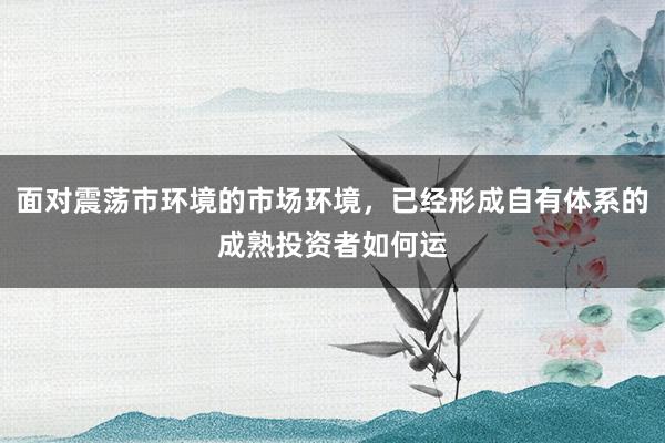 面对震荡市环境的市场环境，已经形成自有体系的成熟投资者如何运