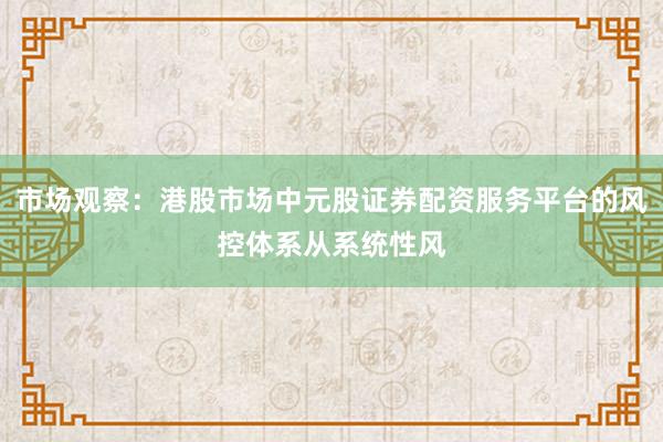 市场观察：港股市场中元股证券配资服务平台的风控体系从系统性风