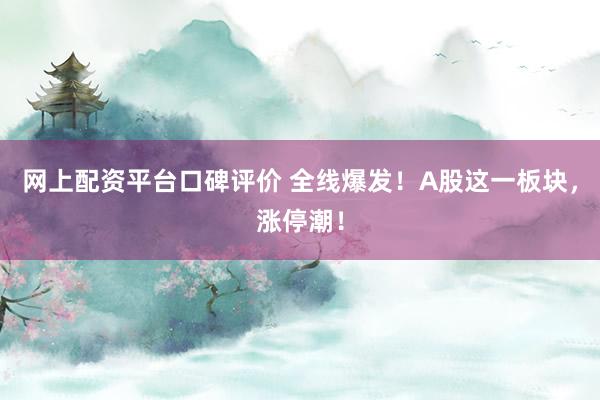 网上配资平台口碑评价 全线爆发！A股这一板块，涨停潮！