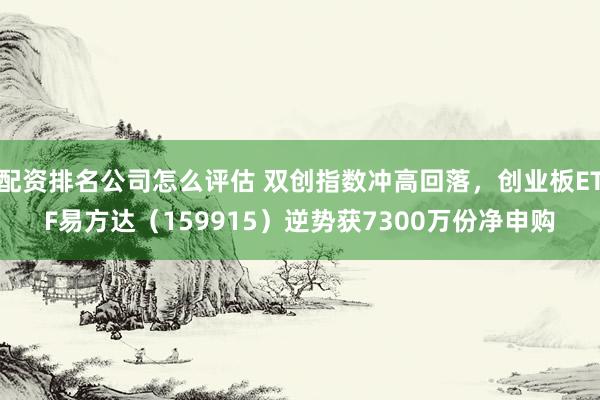 配资排名公司怎么评估 双创指数冲高回落，创业板ETF易方达（159915）逆势获7300万份净申购