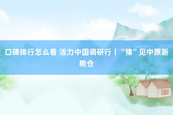 口碑排行怎么看 活力中国调研行丨“豫”见中原新粮仓